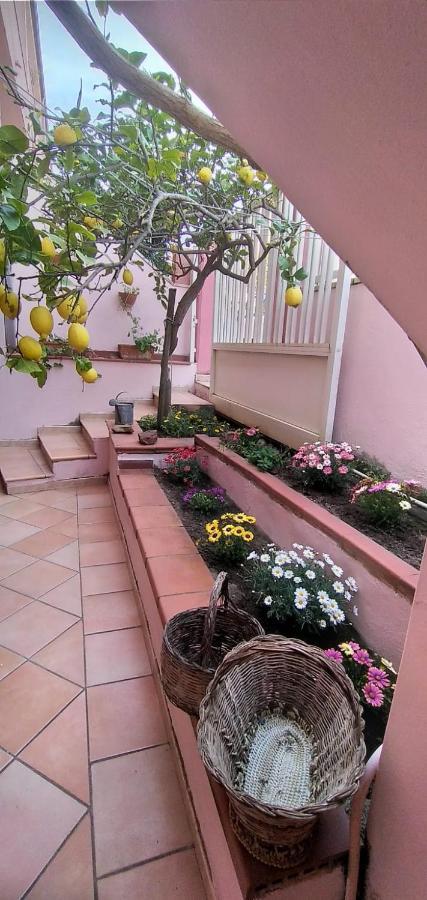 Casa Pein